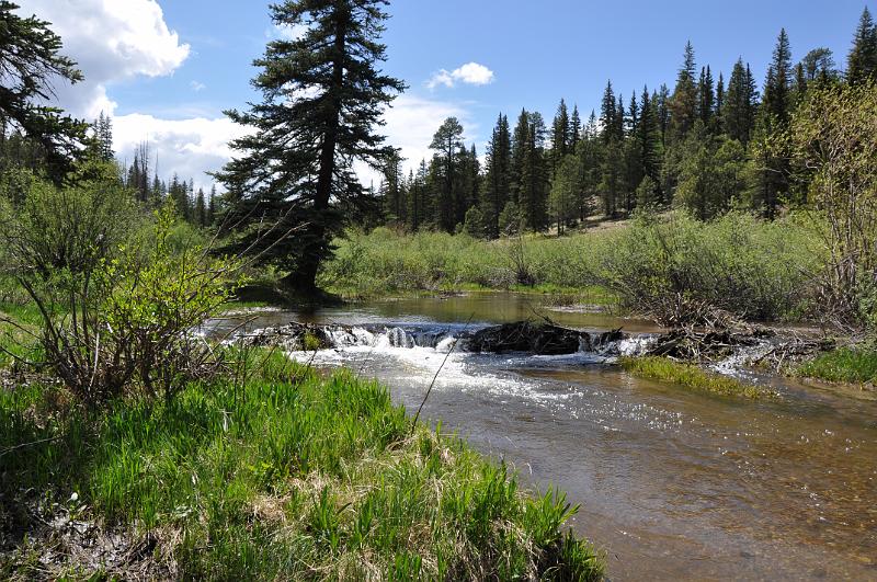 1006111434-Baldy 062.jpg